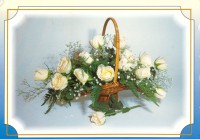 /album/fotogaleria/rose-18-jpg/