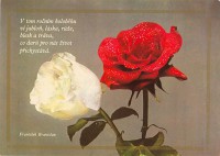 /album/my-collection/r100-jpg/
