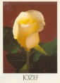 /album/pohladnice-s-jednou-ruzou/scan0021-jpg/