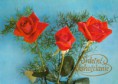 /album/tri-ruze-na-pohladnici/a17-h-jpg/