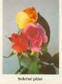/album/tri-ruze-na-pohladnici/a22-h-jpg/