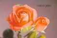 /album/pohladnice-s-dvoma-ruzami/a9-g-jpg/