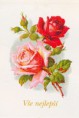 /album/pohladnice-s-dvoma-ruzami/a21-g-jpg/